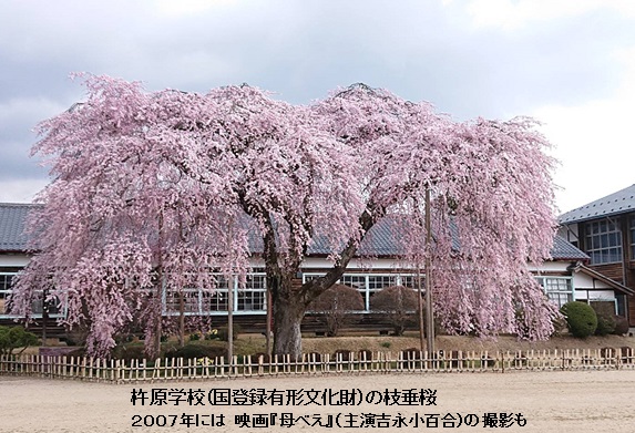 南信州飯田市の杵原学校の枝垂桜